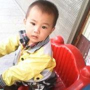 赵亚莉个人资料,才华横溢的艺术家，人生轨迹与成就概览