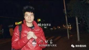 河南信阳出生的明星,璀璨星河中的信阳之光